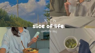 slice of my life 🍰 || strawberry milk, exploring mall, sunset etc. || aesthetic vlog eps21 ☘️