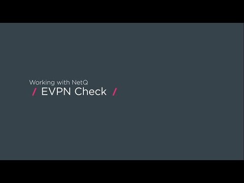 Working with NetQ: EVPN check