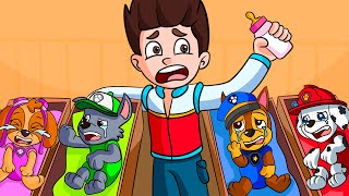 Brewing Cute Baby, But Paw Patrol Spiderman!! Paw Patrol the Mighty Movie - Funny Story | Rainbow 3