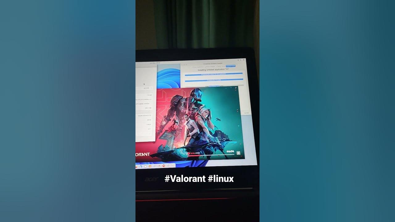 VALORANT ON LINUX YouTube