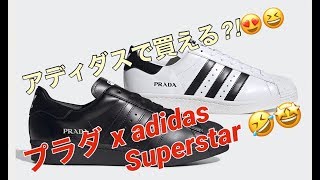 え？adidasで買えるの？！プラダ x アディダス スーパースター！Prada x adidas Superstar！FW6679 FW6680