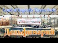 Дельфинарий, Шоу Дельфинов Land of Legends Theme Park Dolphin Show