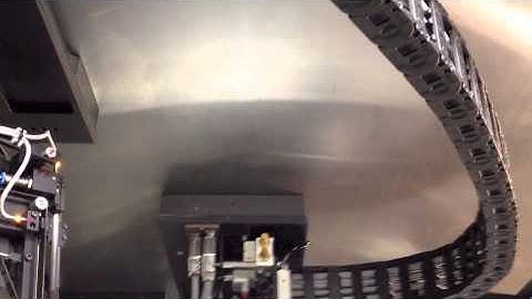 Condor Head Movement