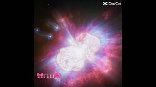 copy 73E97F32 7429 455D 8A11 2B29AAFBC196