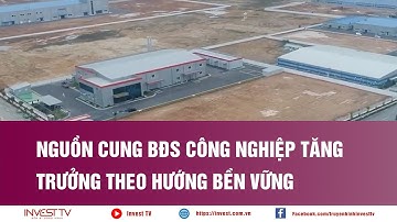 Nguồn cung BĐS Công nghiệp tăng trưởng theo hướng bền vững | INVEST TV