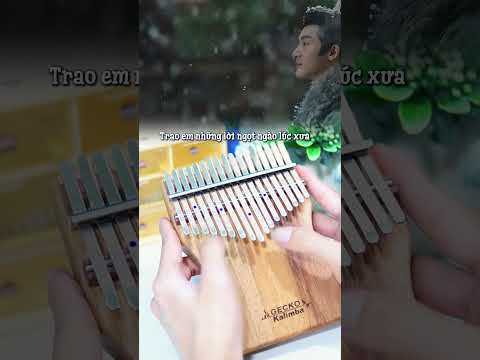 Tôi đã khóc sau khi nghe hết bài hát này | Kiếp Sau Vẫn Muốn Lập Gia Đình Với Em Kalimba #shorts