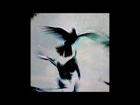 Youtube: LUCIO BUKOWSKI X OSTER LAPWASS – NEIGE CARBONIQUE