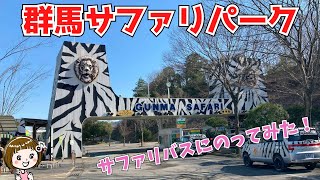 【群馬サファリパーク】サファリバスでライオンを見にいこう！【富岡市】