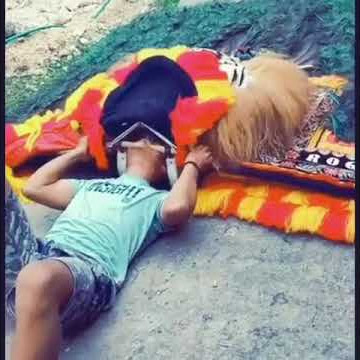 Kekuatan angkat reog ponorogo!!!