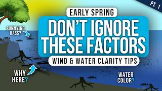 Why WIND & WATER CLARITY are the KEY to CATCHING BASS! (Early Spring Bass Fishing)