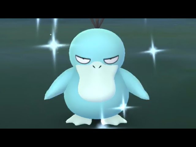 Shiny Psyduck And Golduck Released In Pokemon Go Porto Alegre Safari Zone Youtube Shiny Psyduck And Golduck Released In Pokemon Go Porto Alegre Safari Zone Youtube