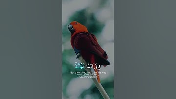 #قرآن #quran إني آمنت بربكم فاسمعون #القارئ #محمد_هشام