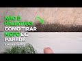 HOW TO REMOVE MOFO FROM EXTERNAL WALL AND PAINT (REVELOPED SECRETS) STEP BY STEP