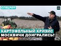 МОСКВИЧИ ДОИГРАЛИСЬ? В Москве картофельный кризис - Специальный репортаж