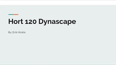 DynaScape project