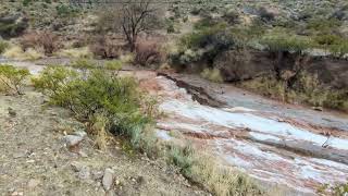 12/23/23 Backyard Dam Flooded