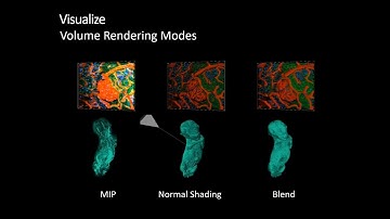 【2022 Imaris訓練課程】 01 Imaris 功能介紹