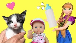 Lola Elsa y Anna muñecas grandes y la sorpresa de los nuevos gatitos bebés tomando biberón