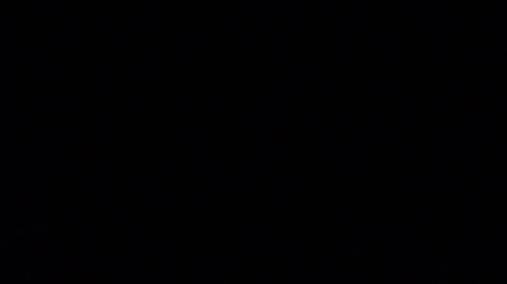 送给我妈妈 -- 河东狮 -- 我爱你 -- 媛 - 天天要闻