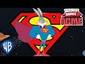 Cortos ACME | ¡Los Looney Tunes en el universo DC! | @WBKidsEspana