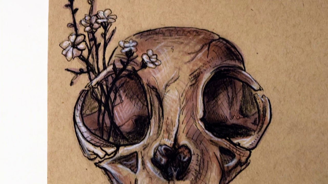 Череп кота схема