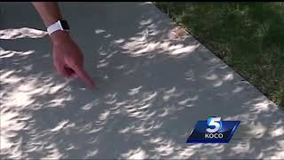 Great Eclipse leaves cool shadow created by tree leaves