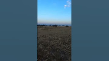 paramotor takeoff #shortvideo #paramotoring #aviation #ppg #paramotor