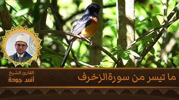 ما تيسر من سورة الزخرف.
