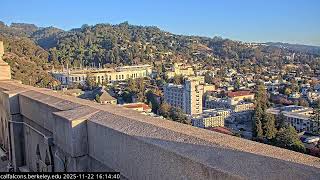 Cal Falcons Southwest Cam, Uc Berkeley