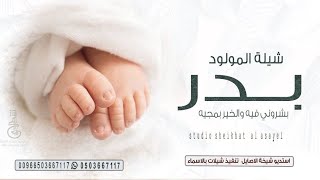 شيلة مولود باسم بدر || بشارة مولود باسم بدر