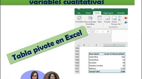 Distribucion de frecuencias variable cualitativa/ Tabla pivote en Excel