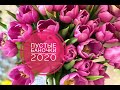 Пустые баночки 2020