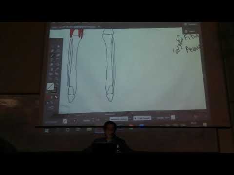 محاضرات تشريح ١- عضلات الطرف السفلي ٢- الساق والقدم
