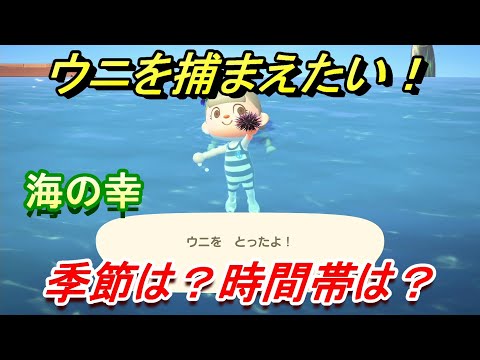 あつまれどうぶつの森 ウニの出現時期と場所 値段などの攻略情報まとめ あつ森 攻略大百科