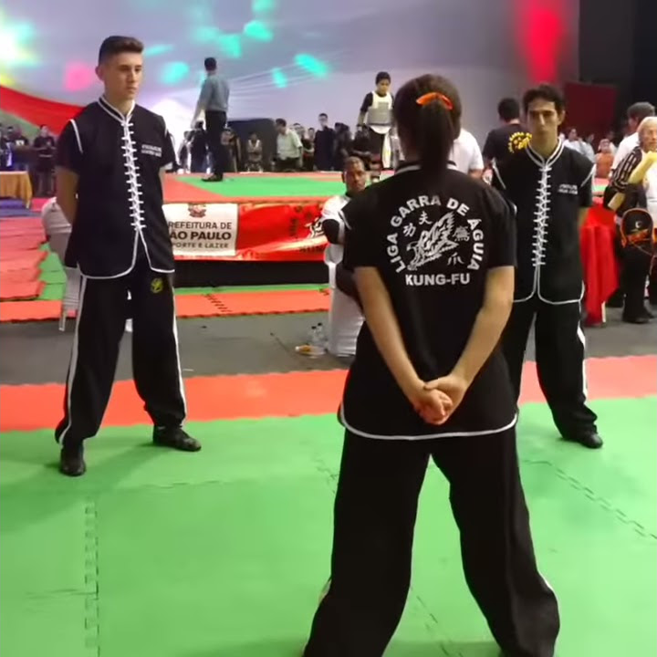 Toy Cha Livre Kung Fu Liga Garra de Águia  | INSTITUTO SHEN XIN DE ARTES MARCIAIS
