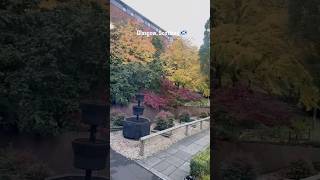 Glasgow, Scotland 🏴 Welcomes the Autumn 🍂🍁#shorts #unitedkingdom