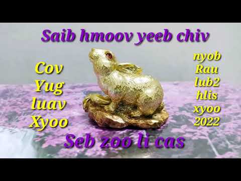 Video: Yuav Tso Npe Li Cas Rau Cov Kws Lis Haujlwm Hauv Koos Xum