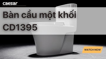 Bàn cầu một khối Caesar CD1395