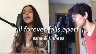 till forever falls apart - ashe & finneas (cover with matthew ifield!)