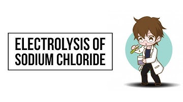 CIE IGCSE 0620 CHEMISTRY REVISION - ELECTROLYSIS OF SODIUM CHLORIDE