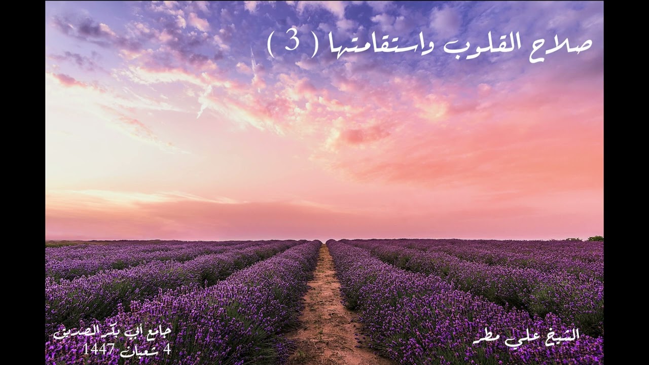 صلاح القلوب واستقامتها ( 3 )