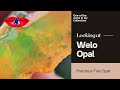 Getting Stoned: Looking At A Welo Opal