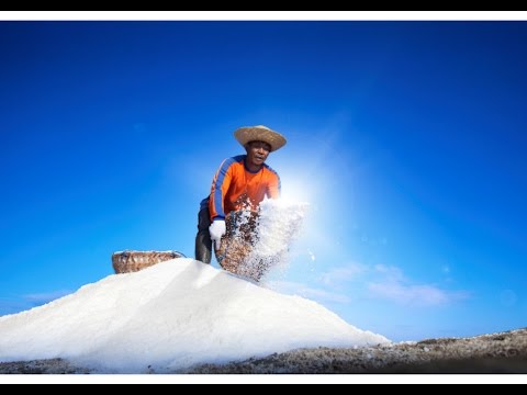 Info Alamat Pusat Grosir dan Produsen Garam di Indonesia 