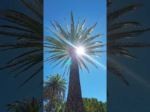 Мини отпуск #отпуск #шортс #shorts #beautiful #nature #travel #short #shortvideo #cool #shortfeed