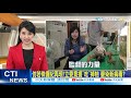 【監督的力量】20210110 抓不完! 綠鬣蜥肆虐 台灣侏儸紀公園!?