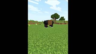 Minecraft crazy build hack 😁