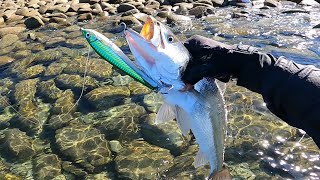 PESCA DE CURVINAS EN SONORA, MEXICO