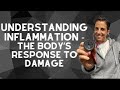 Understanding inflammation  the bodys response to damage