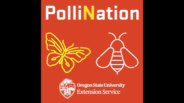 286 - Precision Pollination with BeeHero | PolliNation