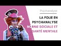  la folie  norme sociale et sant mentale  la psychanalyste